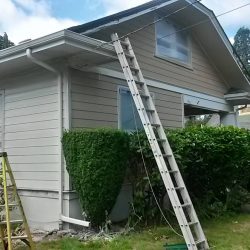 Siding Contractor Portland Evo Siding116